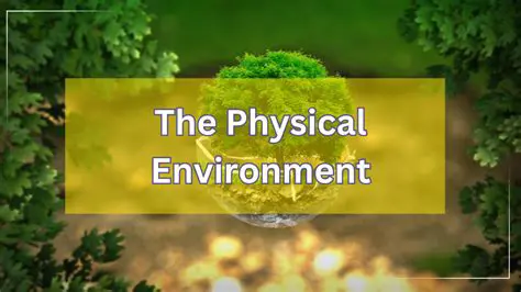 Understand the physical environment