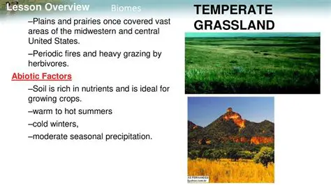 Understanding Abiotic Factors and Their Impact on Native Plants