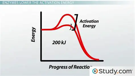 Understanding Activation Energy