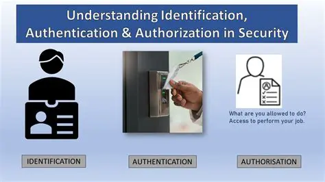 Understanding Agency and Authorization in Law
