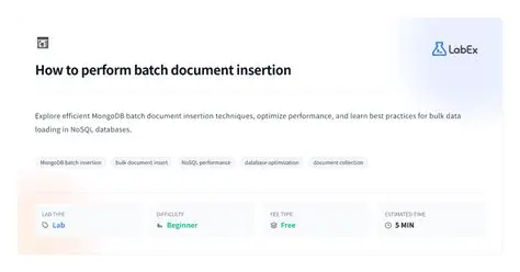 Understanding Batch Insertion