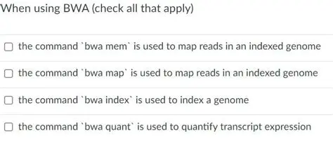 Understanding BWA Index Files