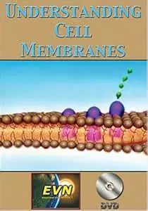 Understanding Cell Membranes