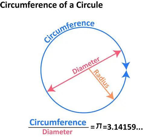 Understanding Circumference and Diameter