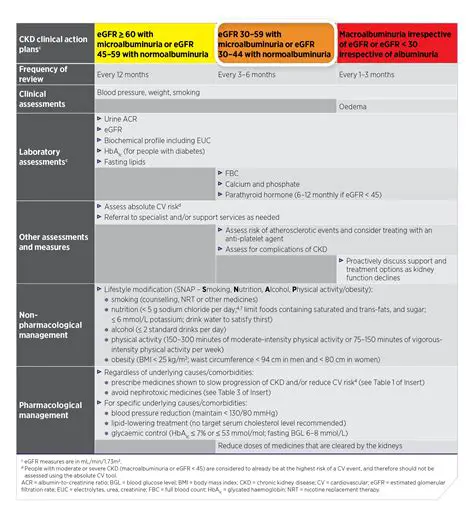 Understanding CKD and Medication Adjustment