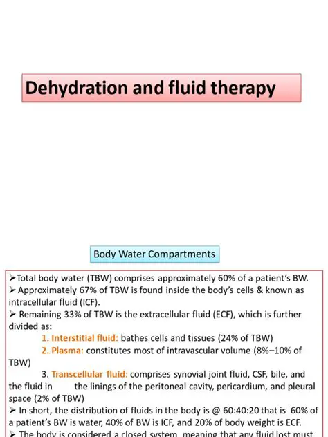 Understanding Dehydration and Fluid Therapy