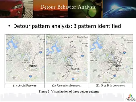 Understanding Detour Behavior