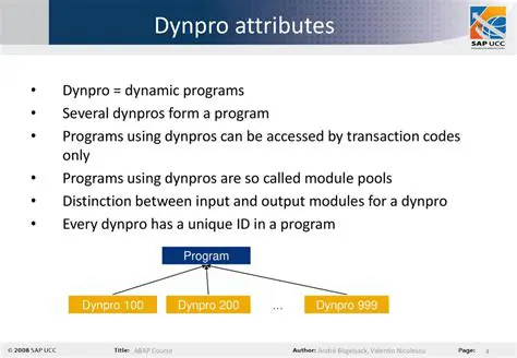 Understanding Dynamic Programs