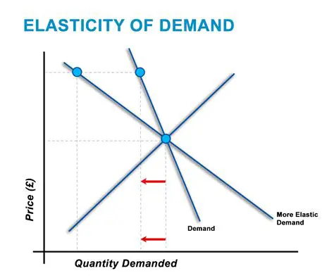 Understanding Elasticity of Demand