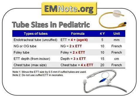 Understanding Endotracheal Tube Sizes