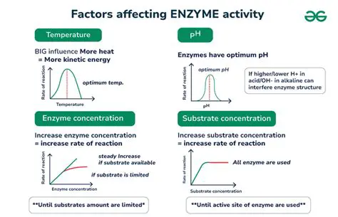 Understanding Enzyme Inhibition and pH Effects on Tyrosinase Activity