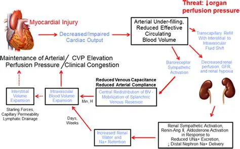 Understanding Fluid Overload in Heart Failure