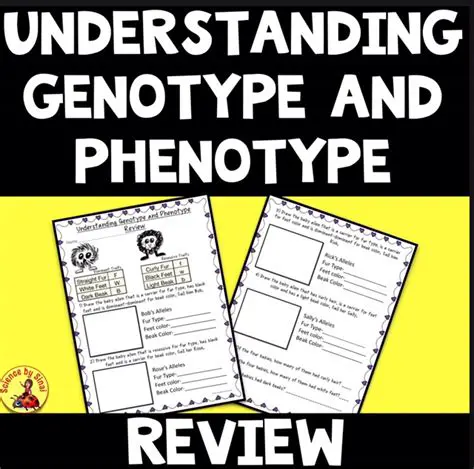 Understanding Genotype and Phenotype