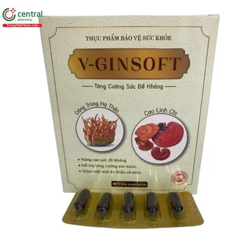 Understanding GinSoft Supreme 2010