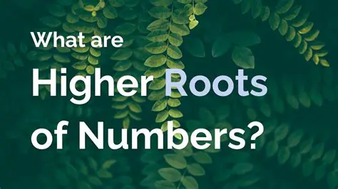 Understanding Higher Roots