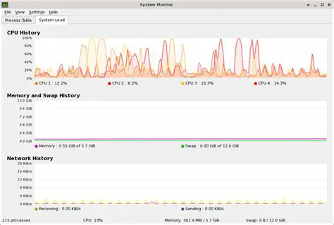 Understanding KDE System Monitor