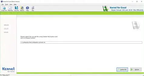 Understanding Kernel Recovery for Excel