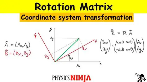 Understanding Local Axis Rotation