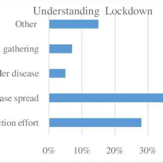 Understanding 'Lockdown Now': A Global Perspective on Urgent Measures