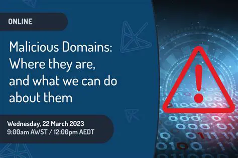 Understanding Malicious Domains and IPs