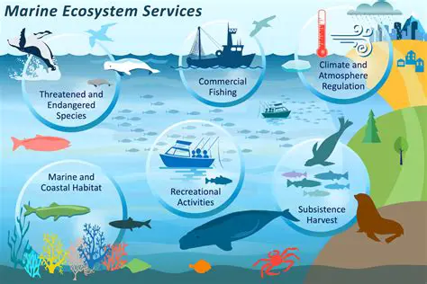 Understanding Marine and Freshwater Ecosystems
