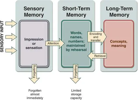 Understanding Memory in Fleur