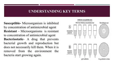 Understanding Microorganism Reproduction