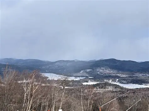 Understanding Negative Temperatures