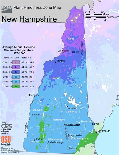 Understanding Newport, New Hampshire's Climate: A Comprehensive Guide