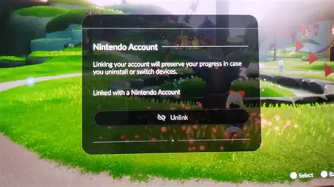 Understanding Nintendo Switch Accounts