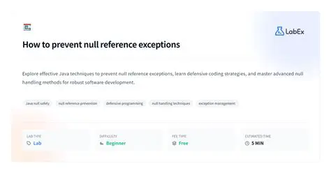 Understanding Null References