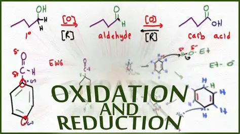 Understanding Oxidation and Reduction Reactions