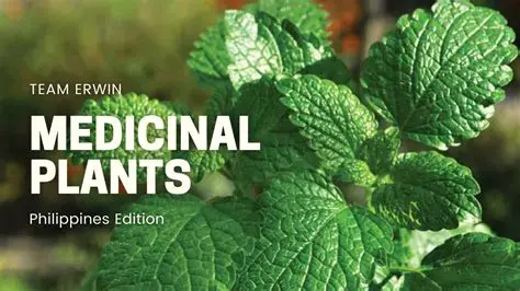 Understanding Pain and the Role of Traditional Medicinal Plants