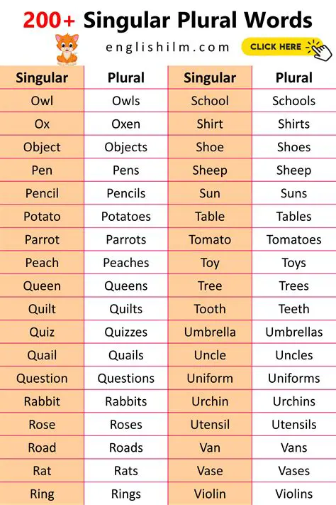 Understanding Plural Words in English