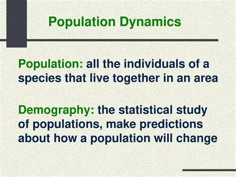 Understanding Population Dynamics in Indonesia