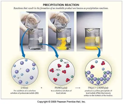Understanding Precipitation Reactions