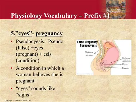 Understanding Pseudocyesis: The Fascinating Phenomenon of False Pregnancy