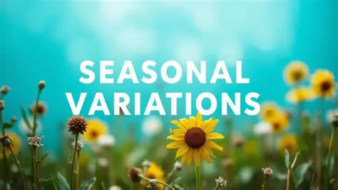 Understanding Seasonal Variations