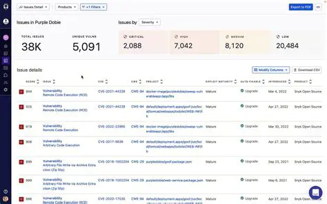 Understanding Snyk Reports