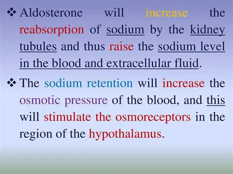 Understanding Sodium Reabsorption