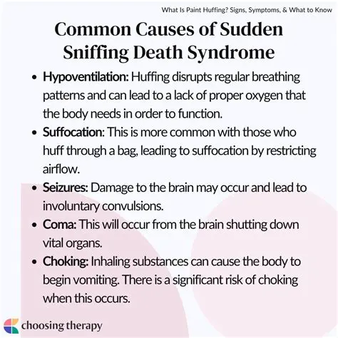 Understanding Sudden Sniffing Death