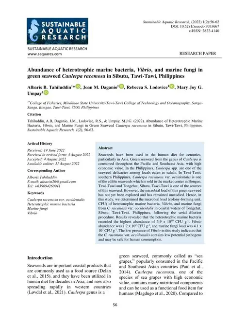 Understanding the Abundance of Resources in High Elevation Rivers