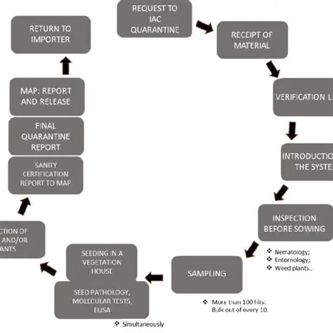 Understanding the Automated Quarantine Process