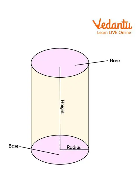 Understanding the Basics of a Right Circular Cylinder