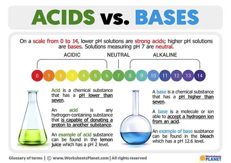 Understanding the Basics of Acids