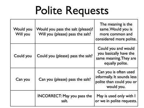 Understanding the Basics of Polite Requests