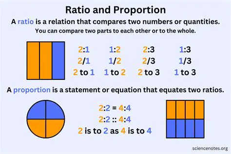 Understanding the Basics of Ratio and Rate