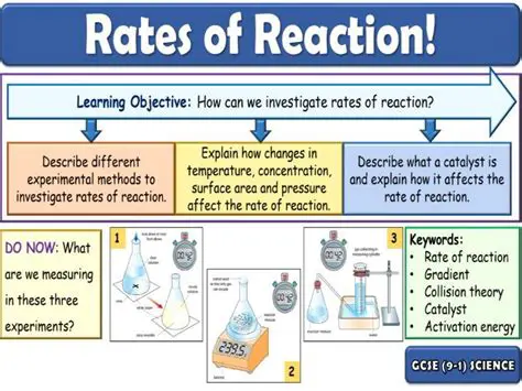 Understanding the Basics of Reaction Rates
