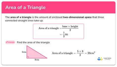 Understanding the Basics of Triangle Area