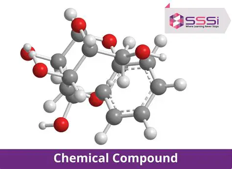 Understanding the Chemical Compound